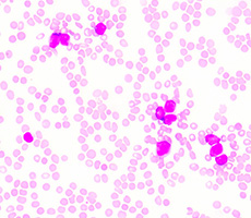 細(xì)胞實(shí)驗(yàn)必備技能——細(xì)胞計(jì)數(shù)