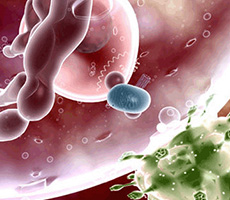 免疫療法，你值得關注！