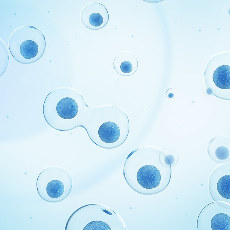 賦能生命科學研究：博大博聚細胞分析產品全系列解決方案