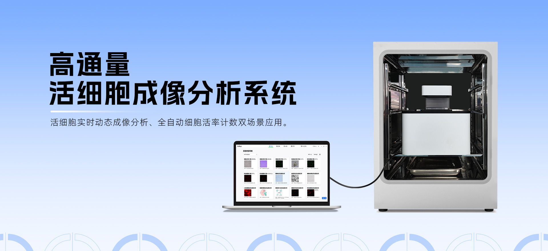 Live-Counter系列活細胞成像分析儀器：從基礎實驗到高通量攻堅，解鎖科研高效新范式